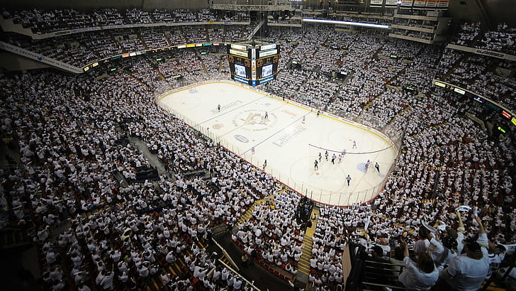 🍀💚🌈  Pittsburgh penguins wallpaper, Pittsburgh penguins hockey, Penguins  hockey