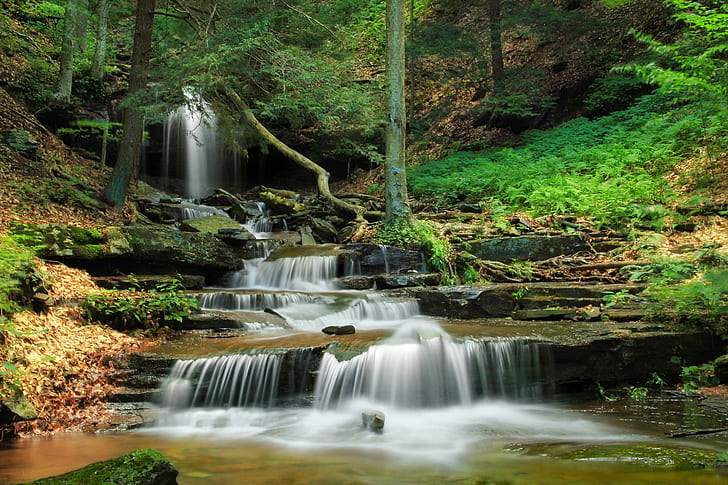 river between trees, Falls Run, Lower End, Pennsylvania, Sullivan County, HD wallpaper
