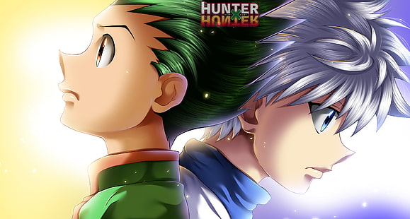 HD wallpaper: Anime, Hunter x Hunter, Gon css, Killua Zoldyck | Wallpaper  Flare