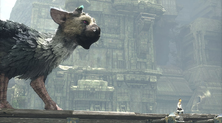 the last guardian 4k  in hd quality, one animal, animal themes, HD wallpaper