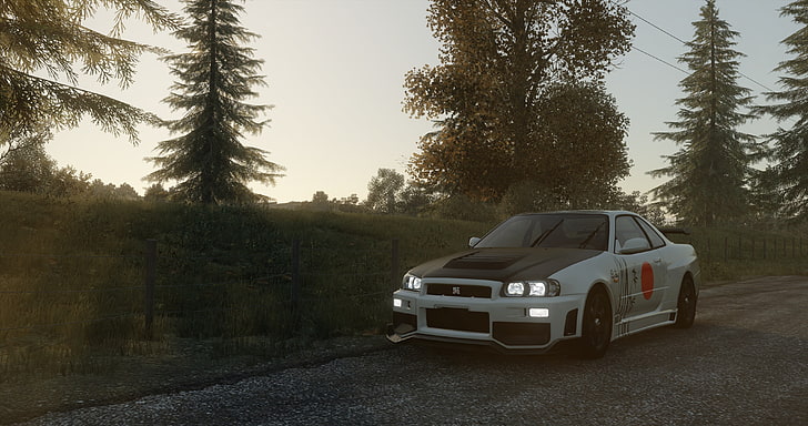 white Nissan Skyline GT-R R34 coupe, video games, The Crew, Japanese cars, HD wallpaper