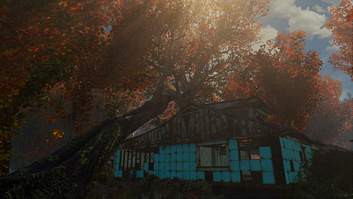 Fallout 4, video games, tree, plant, autumn, change, architecture