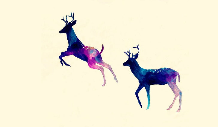deer, white background, animal, animal themes, mammal, animal wildlife, HD wallpaper