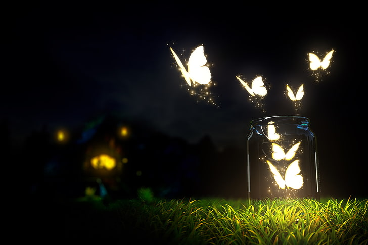 glowing butterflies in jar wallpaper, beautiful, blur, bokeh, HD wallpaper