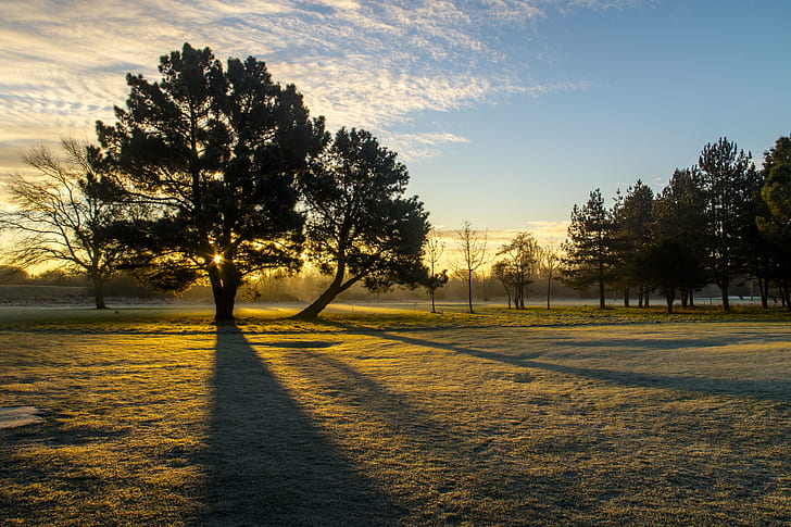 photo of trees during golden hour, Winter, Sunrise, shadows, sky