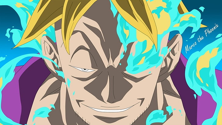 50+ Marco (One Piece) HD Wallpapers and Backgrounds