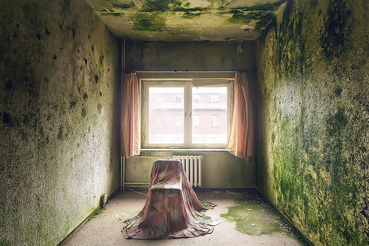 old, ruin, room, window, indoors, architecture, abandoned, day