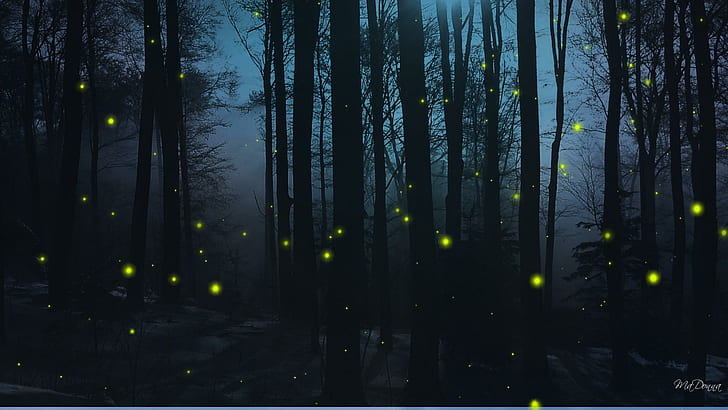 Firefly Nights, firefox persona, woods, dark, trees, forest, blue, HD wallpaper