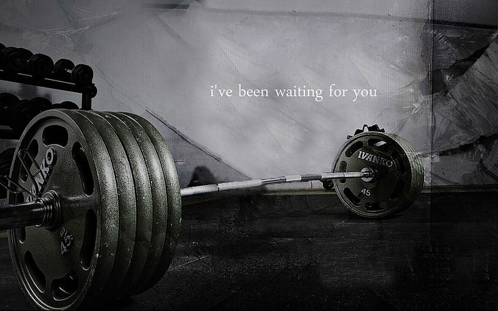 Bodybuilding quote, grayscale photography of wanko barbell, quotes, HD wallpaper
