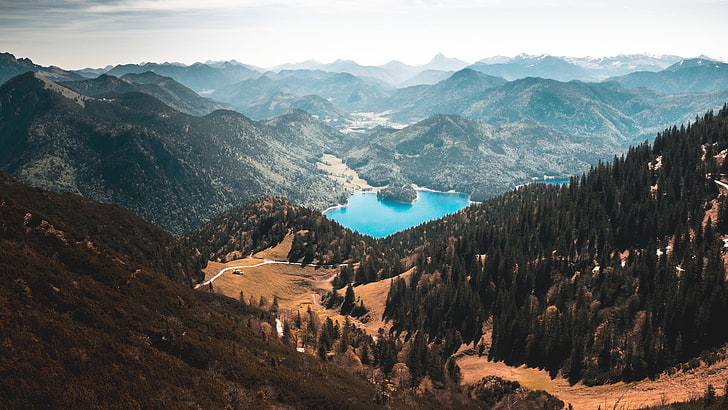 tree, alps, alpine lake, bavarian alps, landscape, europe, kochel, HD wallpaper