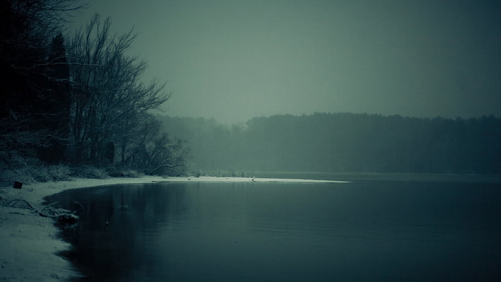 body of water, lake, mist, nature, tree, tranquility, plant, scenics - nature