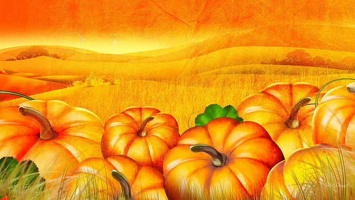 The Pumpkin Patch, firefox persona, orange, harvest, thanksgiving, HD wallpaper