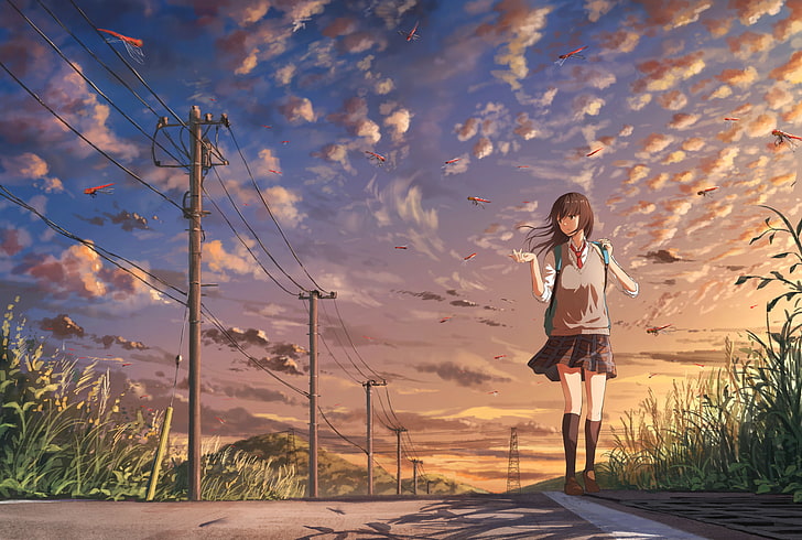 sky, schoolgirl, school uniform, nature, landscape, dragonflies