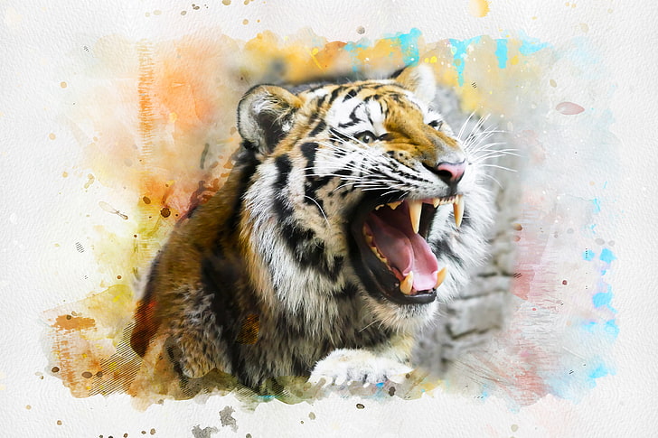 Tiger, Paint, Splash, Colorful, 4K