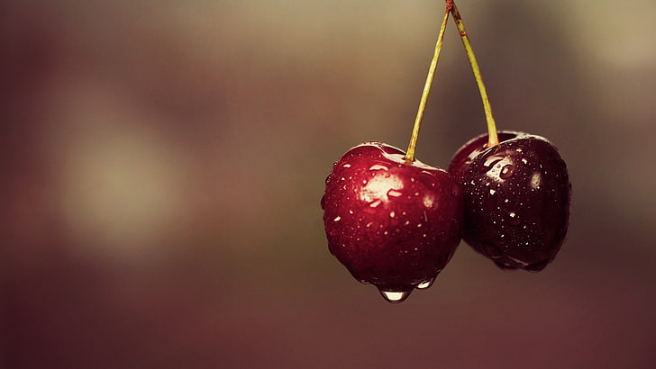ripe cherries, macro, water drops, fruit, food and drink, healthy eating, HD wallpaper