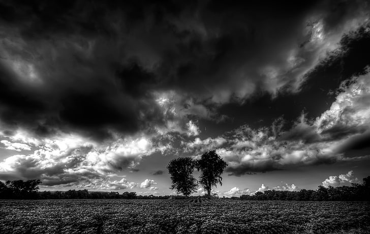 black, white, nature, cloud - sky, field, environment, beauty in nature, HD wallpaper