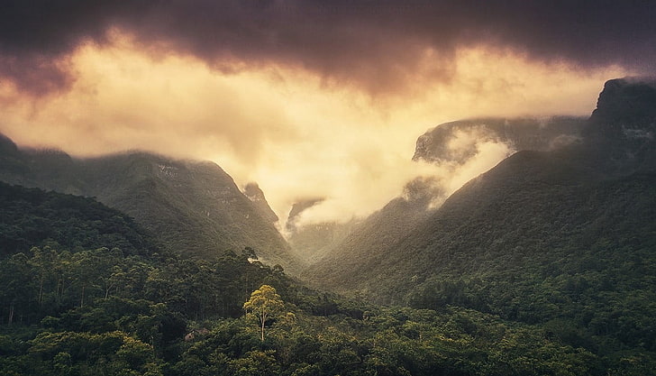 green mountains and white clouds, nature, landscape, rainforest