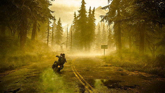HD wallpaper: Days Gone, motorcycle, forest, mist, video games | Wallpaper  Flare