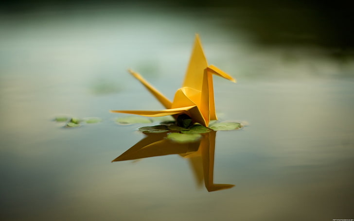 brown swan origami, paper cranes, reflection, water, yellow, no people
