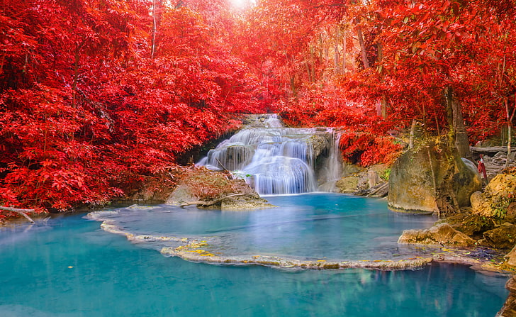 waterfalls and red tree, autumn, forest, light, nature, river, HD wallpaper
