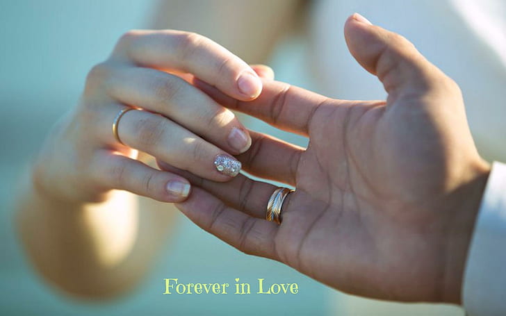 Forever in Love, rings, wedding, hands, HD wallpaper