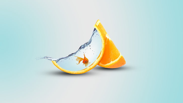 slice orange fruit, orange (fruit), fish, digital art, water, HD wallpaper
