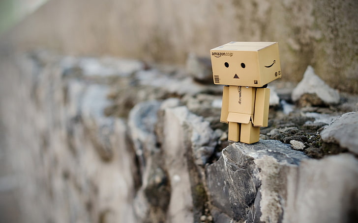 Danbo, Amazon, depth of field, selective focus, no people, close-up