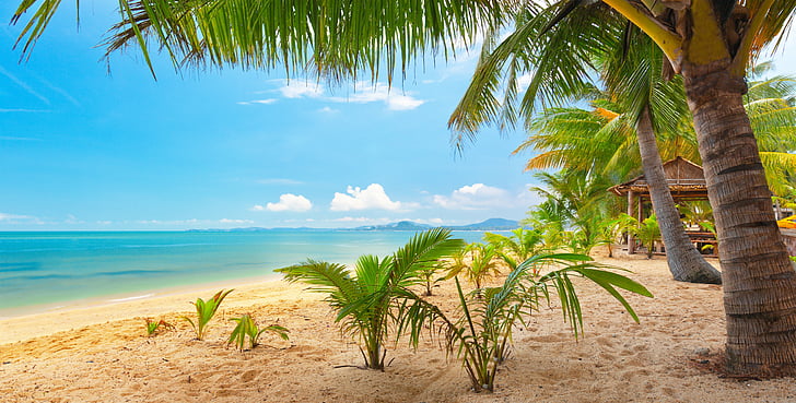 beautiful, landscape, nature, palm, sand, sea, sky, trees, tropical, HD wallpaper