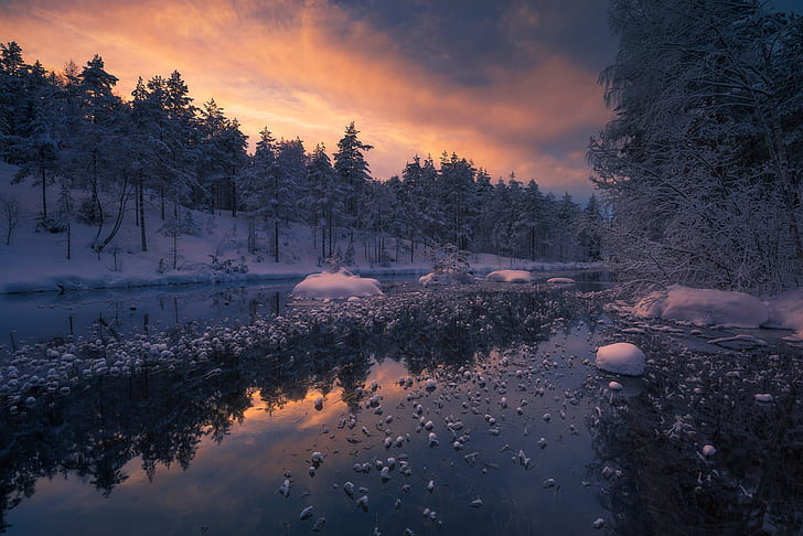 winter, forest, river, Norway, Ringerike, Ole Henrik Skjelstad