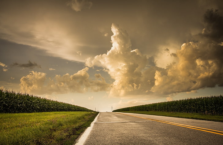 Road, gray road, United States, Nebraska, Summer, Corn, Roadside, HD wallpaper