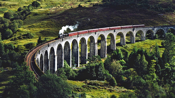 brown train, plant, europe, united kingdom, scotland, glenfinnan, HD wallpaper