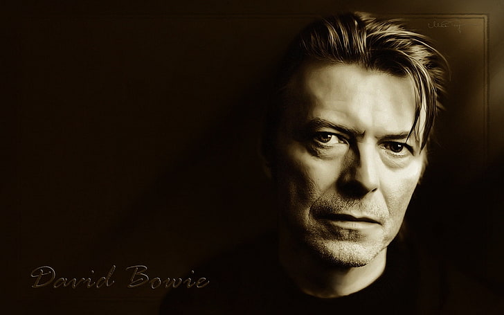 David Bowie, look, hair, bristle, eyes, people, one Person, portrait, HD wallpaper