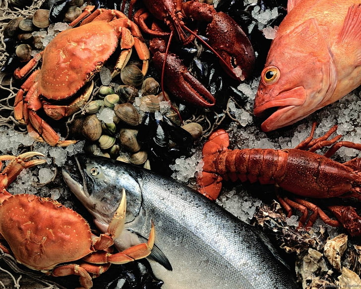 pala casino seafood lobsters buffet