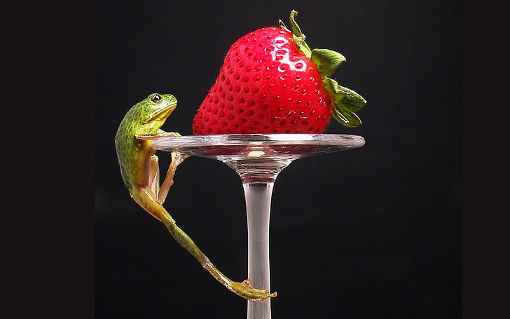 HD wallpaper: Climbing For A Prize, cute, strawberry, frog, 3d and abstract  | Wallpaper Flare