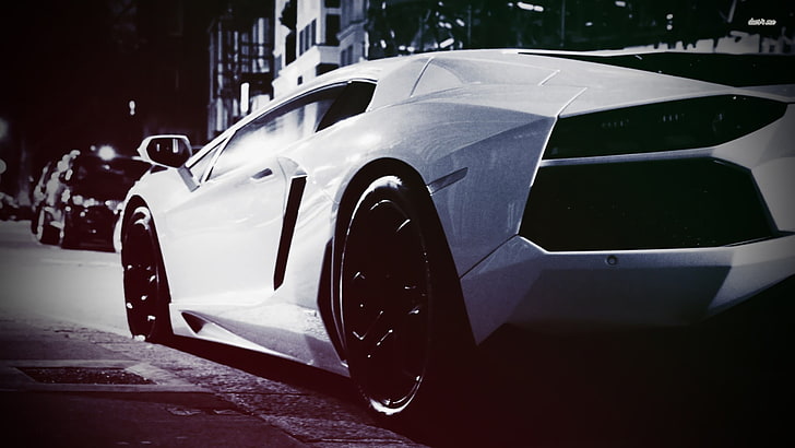 white sports car, Lamborghini, motor vehicle, transportation
