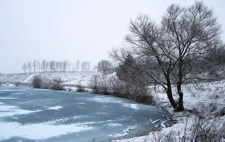 Russia, winter, snow, trees, river, ice, cold temperature, bare tree, HD wallpaper