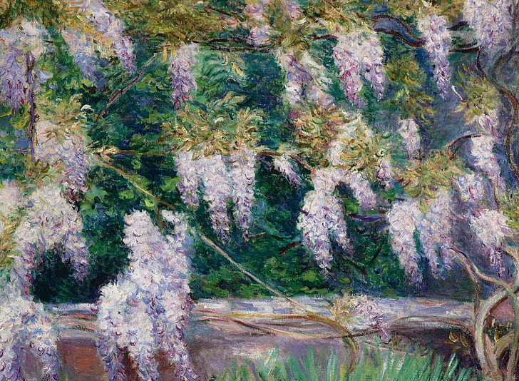 flowers, picture, Blanche Monet, Wisteria at Giverny, HD wallpaper