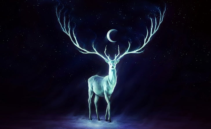 Stag Painting, teal deer illustration, Artistic, Fantasy, Beautiful, HD wallpaper