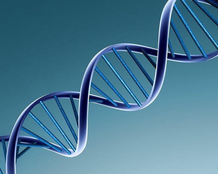 blue DNA illustration, spiral, mesh, chromosome, molecular Structure, HD wallpaper
