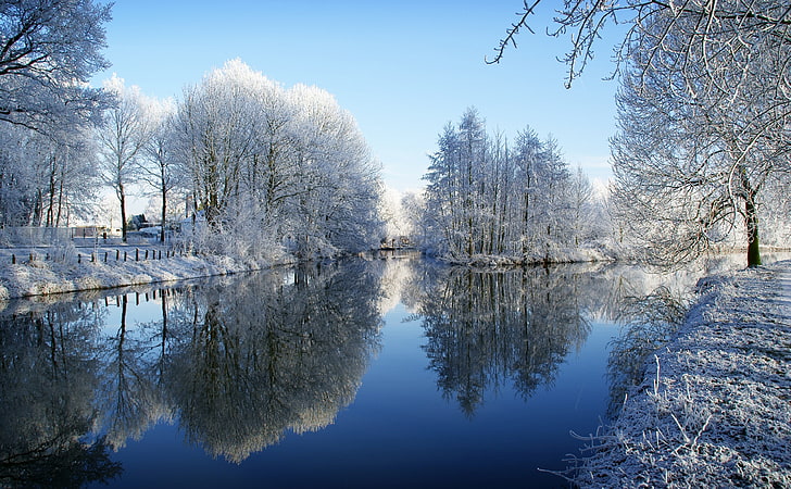 Frozen Trees Reflected In Water, calm lake with trees covered with snow digital wallpaper