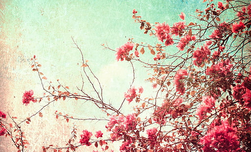 HD wallpaper: vintage flower desktop backgrounds for winter, plant, tree |  Wallpaper Flare
