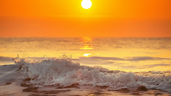horizon, sea, sky, orange sky, sun, wave, ocean, sunrise, shore, HD wallpaper