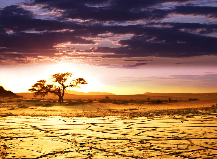 dry land, africa, lake, dead, drought, decline, clouds, sunset