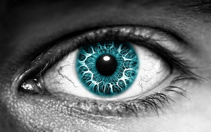 person's blue eye illustration, lens, pupil, eyelashes, eyeball, HD wallpaper