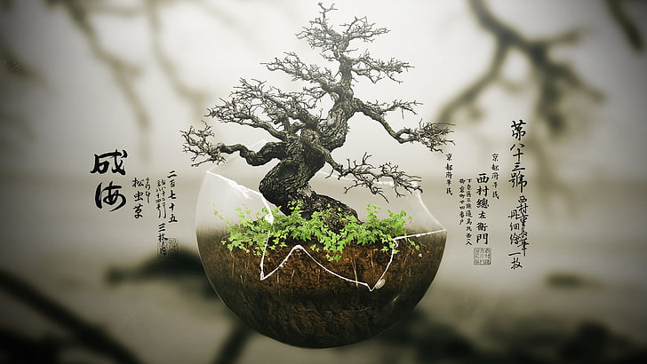 green bonsai tree, trees, digital art, plants, nature, growth, HD wallpaper