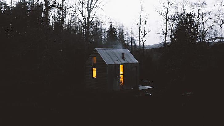 landscape, trees, forest, house, shack, dark, filter, cabin, HD wallpaper