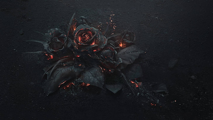 fire, flowers, Gothic, rose, no people, heat - temperature, HD wallpaper