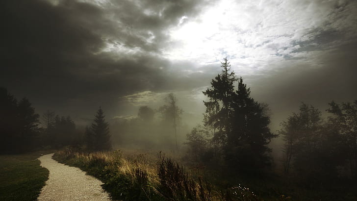 Fog On A Footpath In Forest, clouds, nature and landscapes