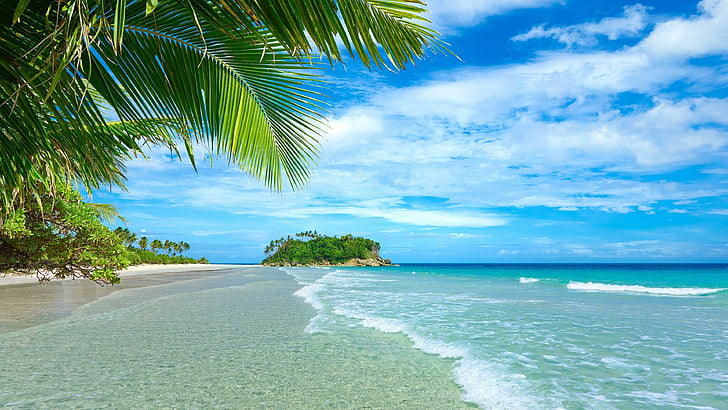 tropical, beach, palm, blue sky, exotic, travel, island, horizon, HD wallpaper