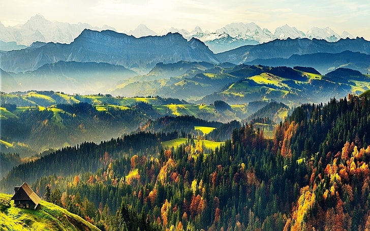 aerial view photography of mountain and trees, nature, landscape